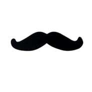 WalrusMostache