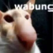 ☻☻rat☻(swag)☻☻