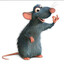 Ratatouille