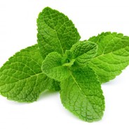 Minty
