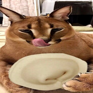 Vkycni_Pelmen