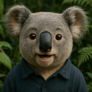 Koala | ♥♥♥♥♥♥♥♥♥♥