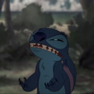 aka Stitch