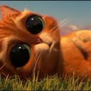Pussy Cat