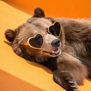 Mr.Bear