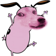 FIFI