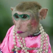 Monkey Queen.