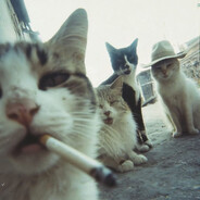 Steam Community Avatar