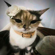 https://avatars.fastly.steamstatic.com/c72caf6f01f09650f914f925d78ead82d5b249cb_full.jpg