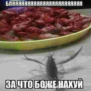 sadd344