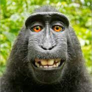 monke