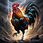 ①Gallo veloz.-