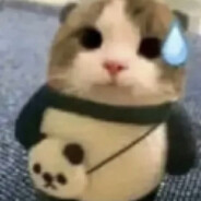 yaku