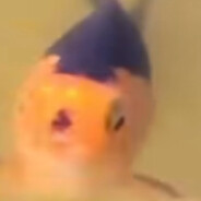 Adorsch Fischler