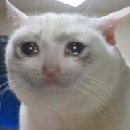 Sad Cat 69