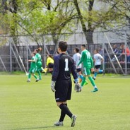 Filecooo