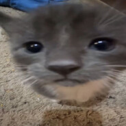 nulamu