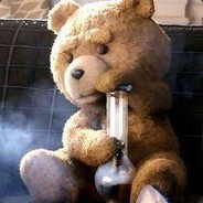 RastaBear