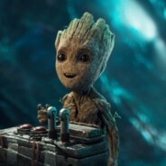 darcinnilay