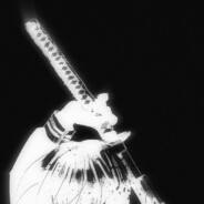 Bexyベクディ