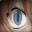 Group Avatar