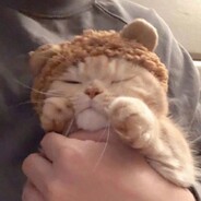 ❥赏月亮