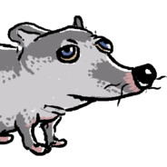 rufusus