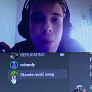 Standa řezáč swag