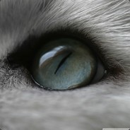 miOw