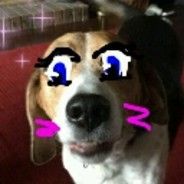 Vile Wolf