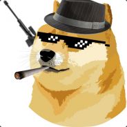 Mr Dutch Wolvez