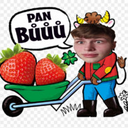 Pan Bůůů