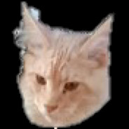 RUthecat