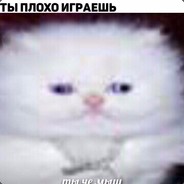 ОСНОВА БЕНдКУТА