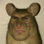 𝑺 𝑯 𝑨 𝑫 𝑶 𝑾