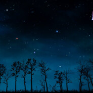 six nights