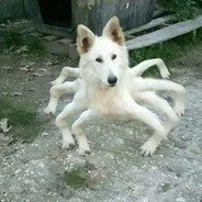 fadeyboi1