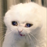 MManSahs