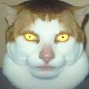 haaidan