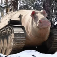 Vollgepanzertes Sturmschwein V
