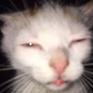 TeaBaggins