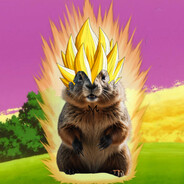 Majin M4rmotte