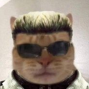 dippstam