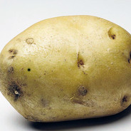 HamreJr