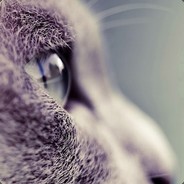YoMama