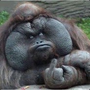 Harambe