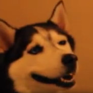 zunfixy