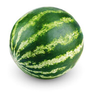 Everyone ♥♥♥♥♥ watermelon