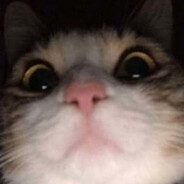 SucuK