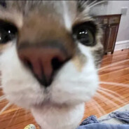 monkeymanfy